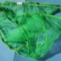 H1565 HOT SEXY MENs Bikini C-thru Sheer Green