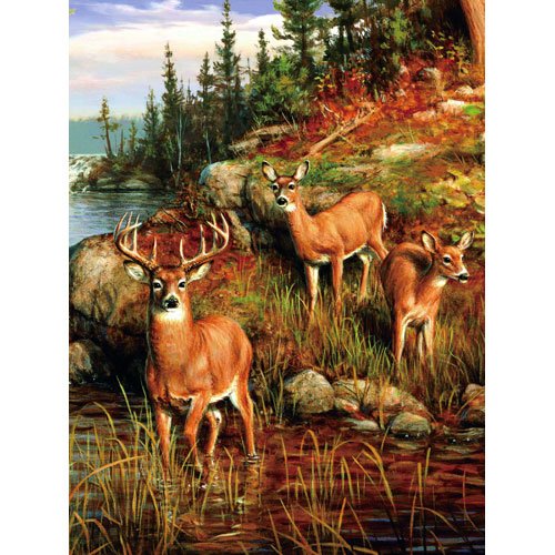 Colorful Nature three Deer Woods Multi Colored Queen Mink Style Blanket