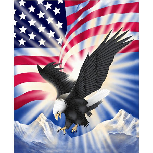 Red White Blue American Flag Eagle Bird Queen Mink Style Blanket