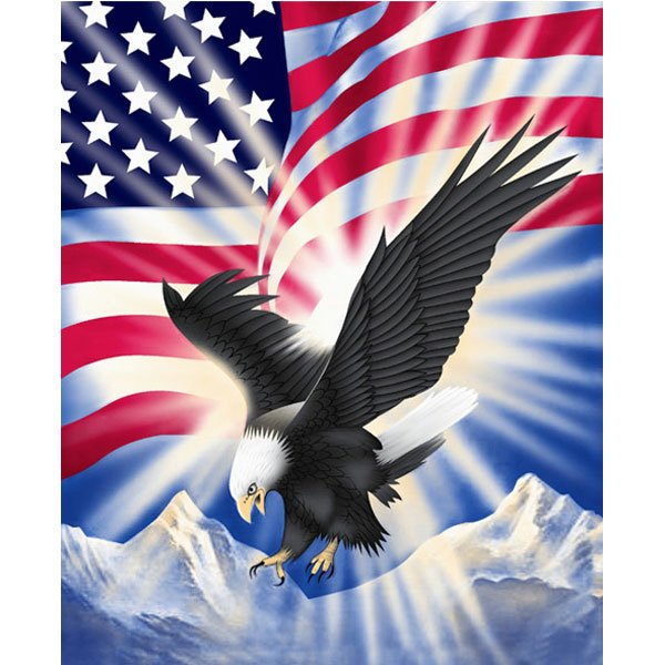 Red White Blue American Flag Eagle Bird Queen Mink Style Blanket   4e45dbd002bc9 176238b 