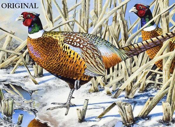 Pheasant Pair Cross Stitch Pattern Game Birds ETP