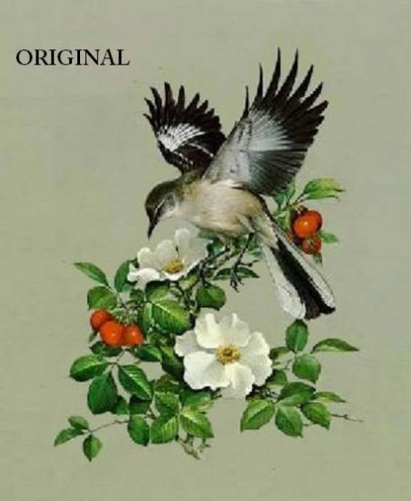 Mockingbird Cross Stitch Pattern Birds ETP