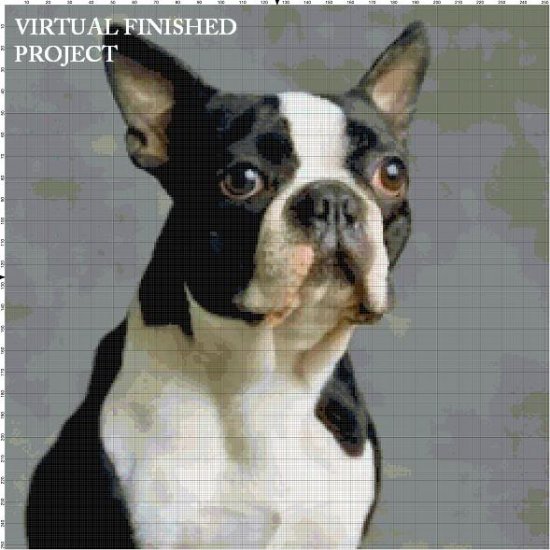 Boston Terrier Cross Stitch Pattern Dogs ETP