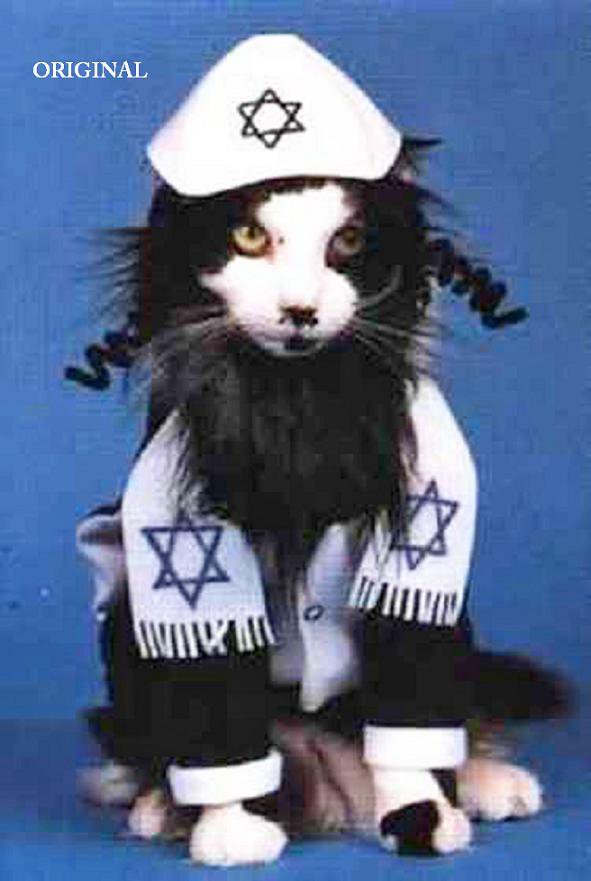 Rabbi Katz... DIGITAL DOWNLOAD... ~Counted~ Cross Stitch Pattern ETP