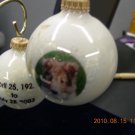 Photos on Christmas balls