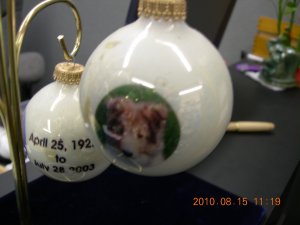 Photos on Christmas balls