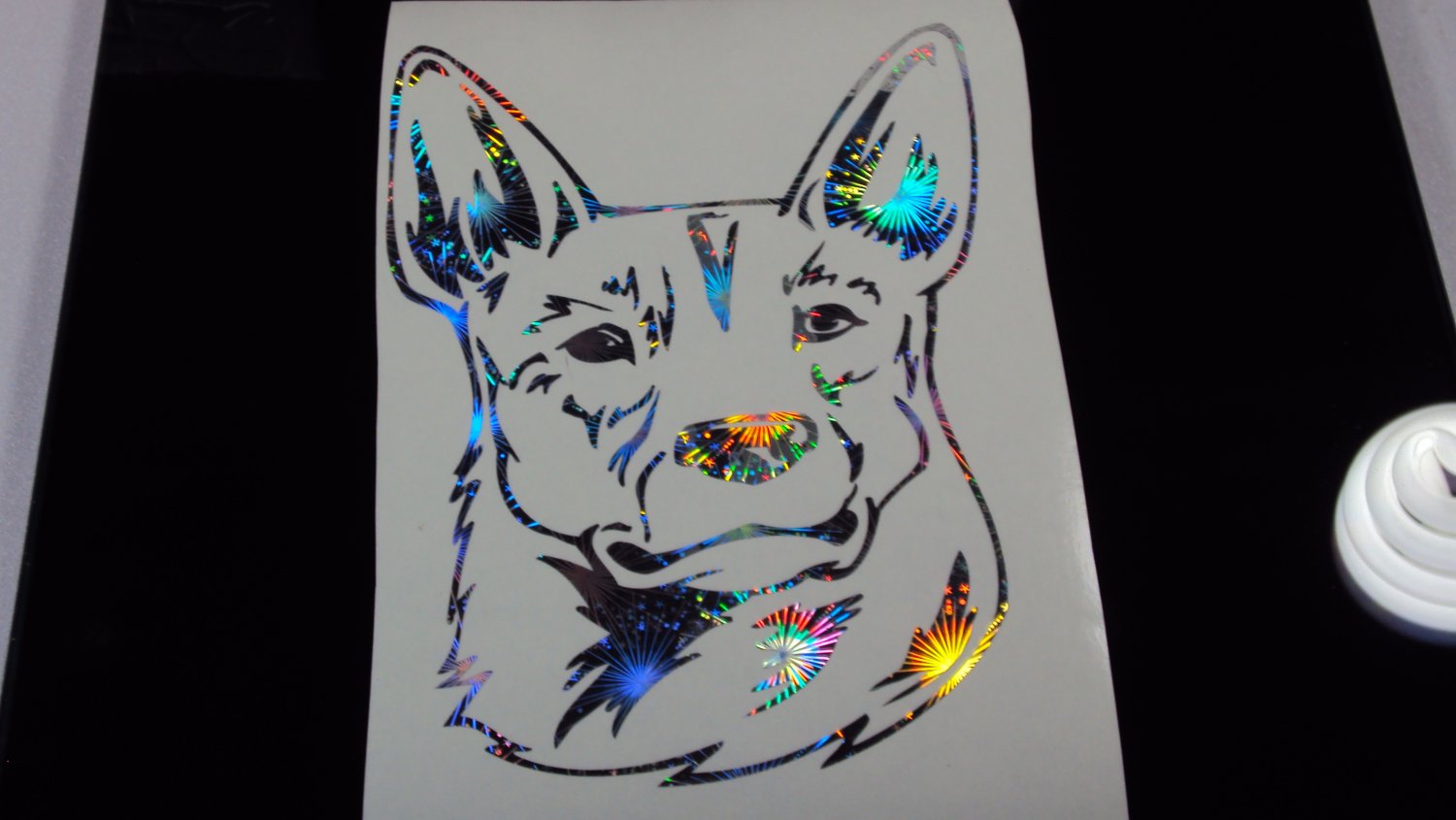 How Much To Paint A Car >> Australian Stumpy Tail Cattle Dog Breed Blue Heeler ... How Much To Paint A Car >> Australian Stumpy Tail Cattle Dog Breed Blue Heeler ...