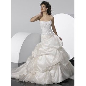 The Newest Ball Gown Wedding Dress BGW0012