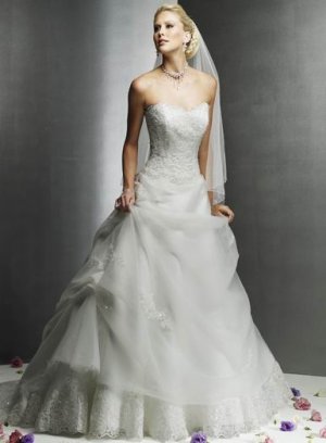 The Newest Ball Gown Wedding Dress BGW0257
