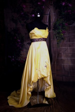 A-line Sleeveless Sweep Train Wedding party /Evening dress 1184
