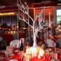 Crystal Tree