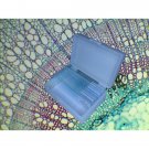 10 PCS Professionally Prepared Slides - Botany Set