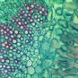10 PCS Professionally Prepared Slides - Botany Set