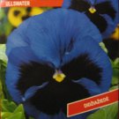 ULLSWATER (Viola x wittrockiana), 50 seeds