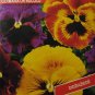 Germania or Rococo (Viola x wittrockiana), 50 seeds