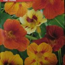 TOM THUMB (Tropaelum majus)  12  seeds