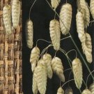 Briza media ~100 seeds