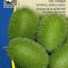 WILD CUCUMBERS, Cucumis dipsaceus  ~ 10 seeds