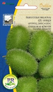 WILD CUCUMBERS, Cucumis dipsaceus  ~ 10 seeds