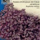 RADISH SANGO, Raphanus satinus - 64 seeds