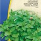 SPEARMINT, Mentha spicata - 1200 seeds