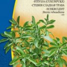 SWEETLEAF, Stevia rebaudiana - 10 seeds