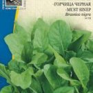 MUSTARD BLACK, Sinapis alba - 14 seeds