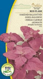 ORACHE GARDEN RED FLASH, Atriplex hortensis - 14 seeds