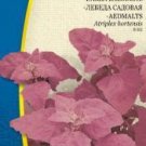 ORACHE GARDEN RED FLASH, Atriplex hortensis -14 seeds