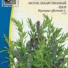 HYSSOP, Hyssopus officinalis - 100 seeds
