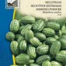 MEXICAN SOUR GHERKIN, Melothria scabra