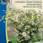 CHAMOMILE, Matricaria chamomilla - 1600 seeds