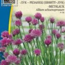 CHIVES, Allium schoenoprasum - 85 seeds
