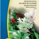 CLARY SAGE, Salvia sclarea - 10 seeds