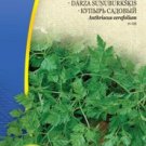 CHERVIL CURLED, Anthriscus cerefolium - 40 seeds