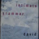 The Book of Intimate Grammar - David Grossman