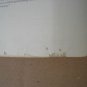 Pilots' Radio Handbook C.A.A. Technical Manual # 102 &acirc;�&curren; US Dept of Commerce Revised March 1954