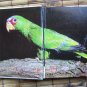 The Handbook of Amazon Parrots by A. E. Decoteau ➤ TFH Publications, Inc. 1983