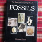 The Illustrated Encyclopedia of Fossils by Giovanni Pinna Facts on File 1990 First Edition