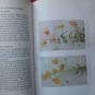 The Practical Book of Outdoor Flowers by Richardson Wright ➤ Garden City Publishing 1924