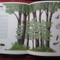 Secret Life of the Forest by Richard Ketchum ➤ American Heritage Press 1970