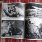 Here is Africa by Ellen and Attilio Gatti ➤ Charles Scribner's Sons 1943