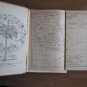 The Pacific Islands Year Book by R. W. Robson ➤ Pacific Publications (Fuji) LTD 1944 5th Edition