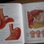 Netter's Gastrointestinal Anatomy and Motility by Frank Netter & William Bachrach &acirc;�&curren; Novartis 2001