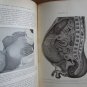 Diagnosis in the Office and at the Bedside by Hobart Amory Hare ➤ Lea & Febiger 1914 7th Edition