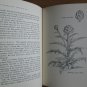 The Food-Lover's Garden by Angelo M. Pellegrini ➤ Alfred A. Knopf 1970