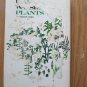 Using Wayside Plants by Nelson Coon ➤ Hearthside Press Inc., 1969 Fourth Revised Edition