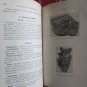 Dana's Manual of Mineralogy by William E. Ford Ⲥ John Wiley & Sons Inc. 1915 13th Revised Edition
