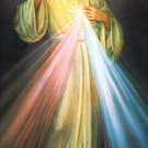 SPANISH Divine Mercy Chaplet Prayer Card PC#222