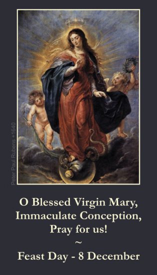 Immaculate Conception Prayer Card PC#265